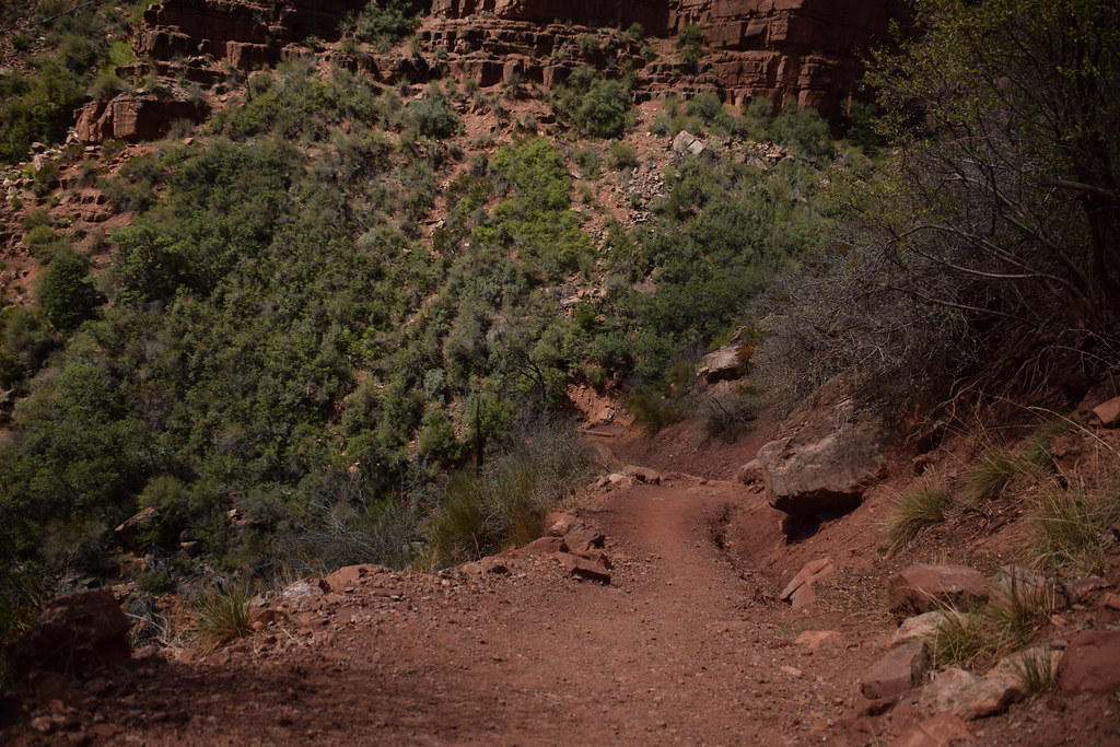 Grand Canyon North Rim 196
