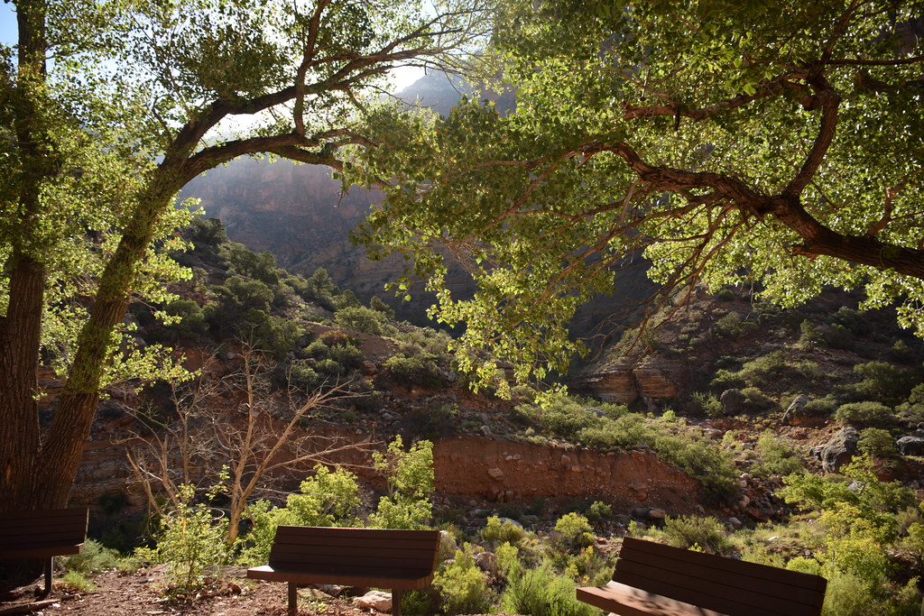Grand Canyon North Rim 105