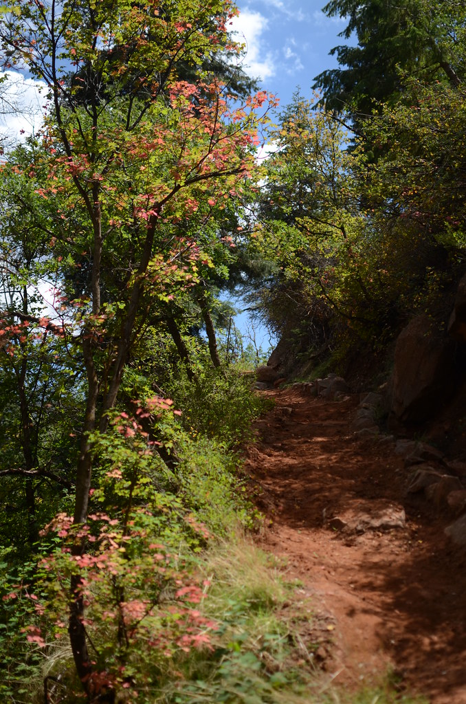 Grand Canyon North Rim 046