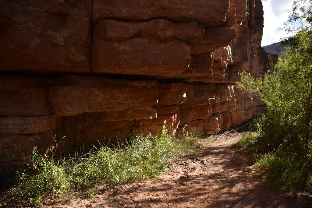Grand Canyon Hike 331