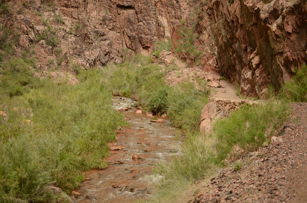 Grand Canyon Hike 040