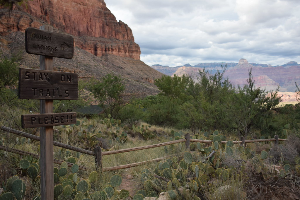 Grand Canyon Bright Angel Trail 304