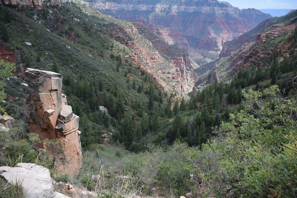 Grand Canyon North Rim 248
