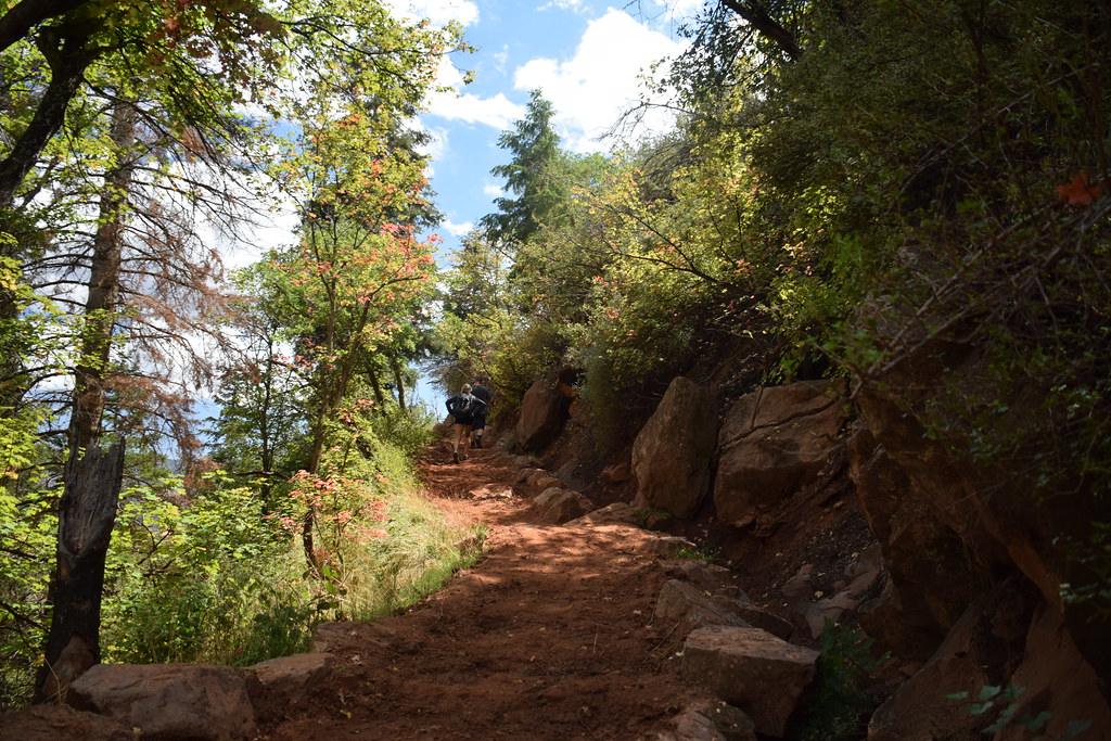 Grand Canyon North Rim 229