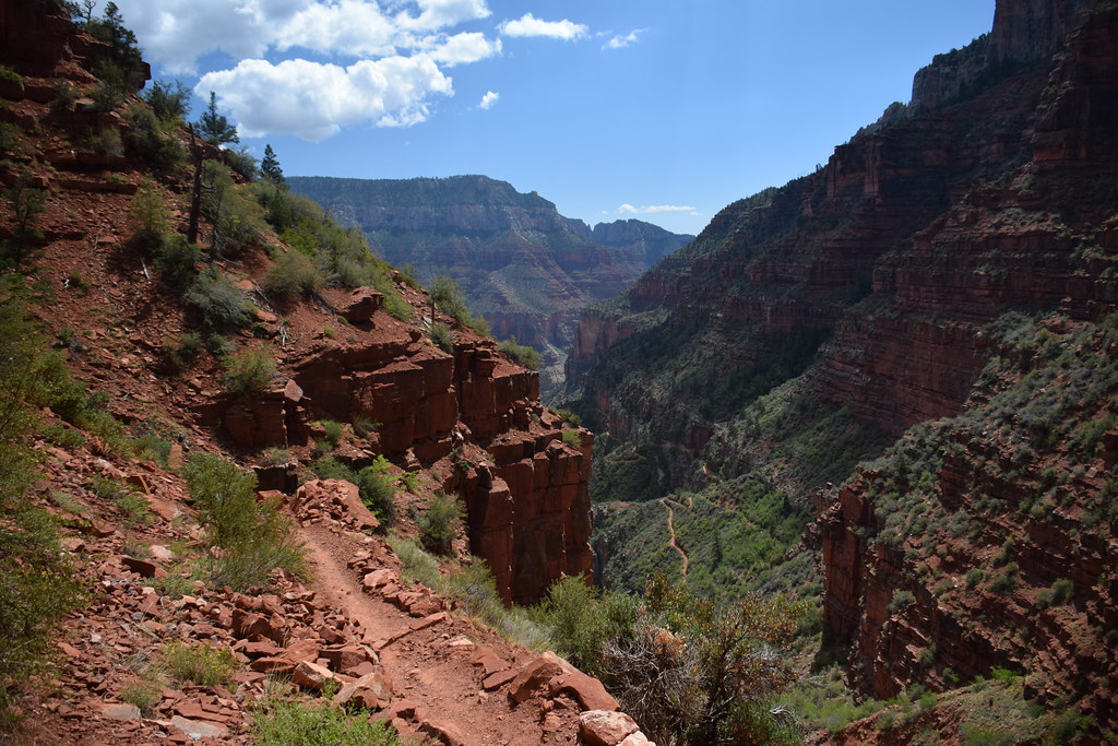 Grand Canyon North Rim 216