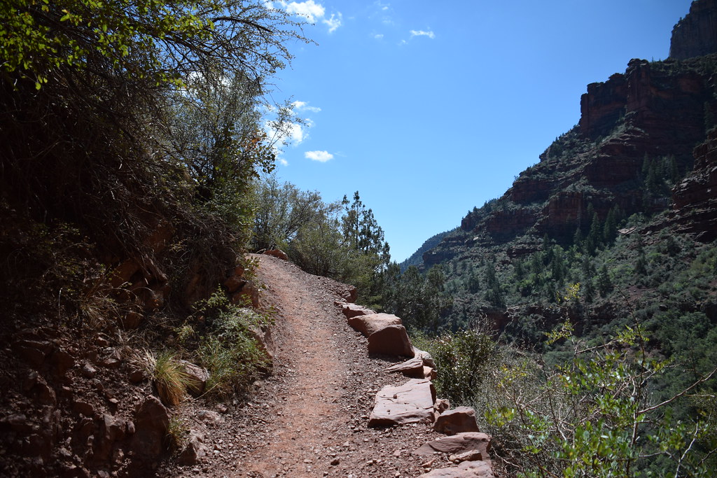 Grand Canyon North Rim 197