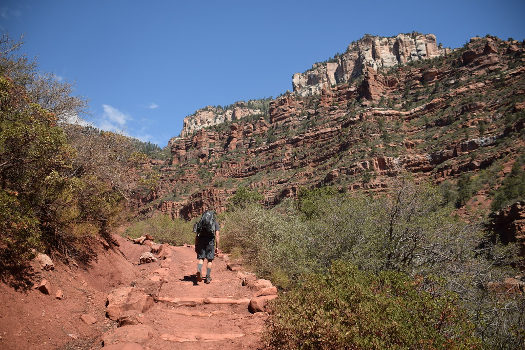 Grand Canyon North Rim 182