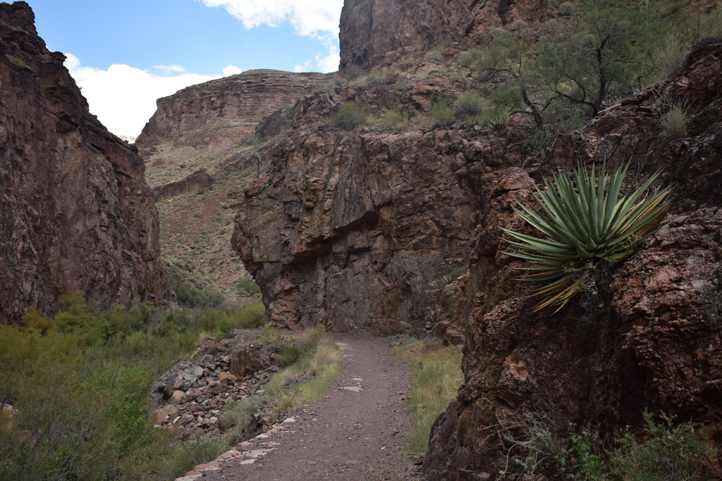 Grand Canyon Hike 314