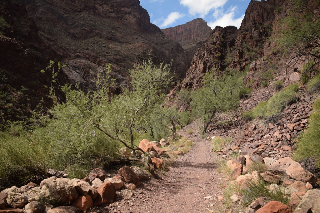 Grand Canyon Hike 279