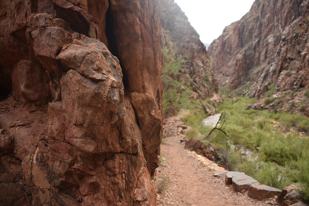 Grand Canyon Hike 259