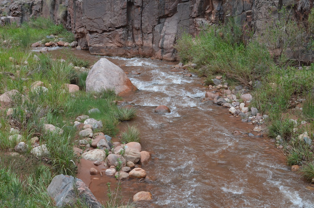 Grand Canyon Hike 016