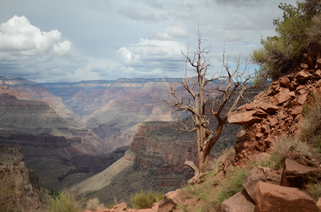 Grand Canyon Bright Angle Trail 048