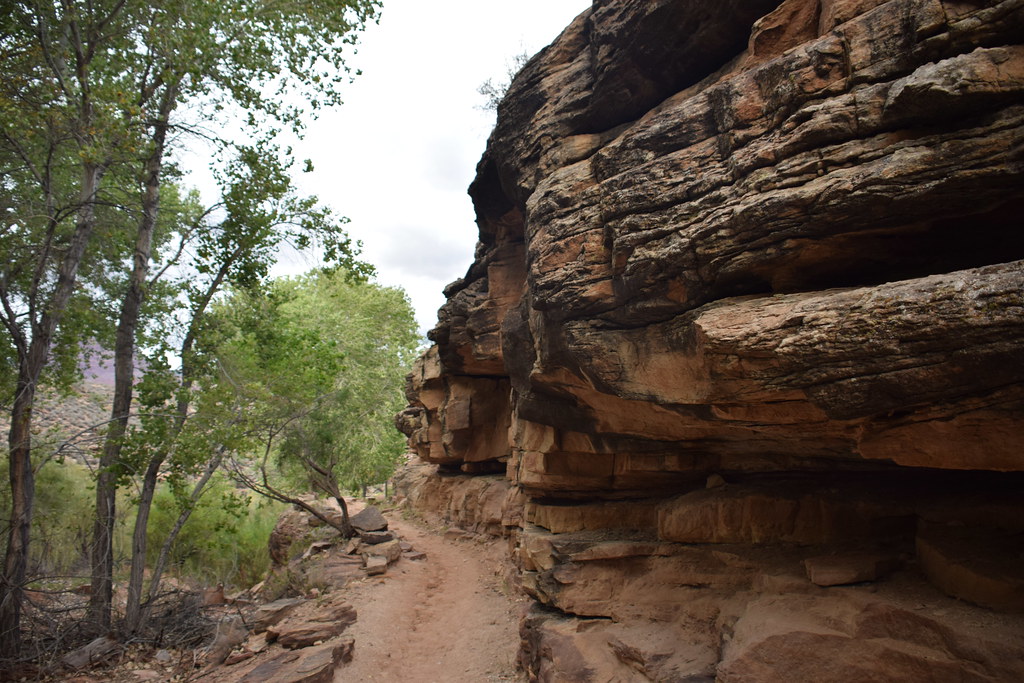 Grand Canyon Bright Angel Trail 320