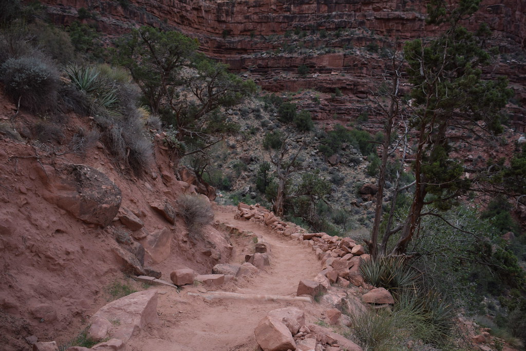 Grand Canyon Bright Angel Trail 235