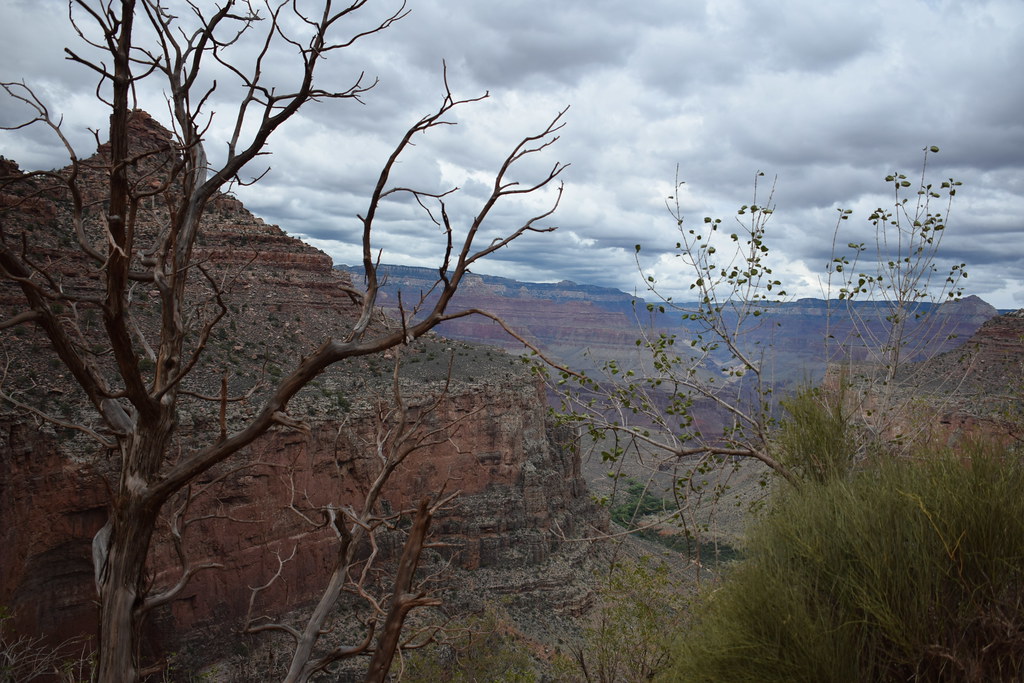 Grand Canyon Bright Angel Trail 234
