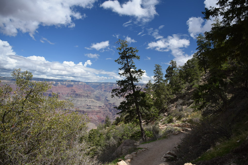 Grand Canyon Bright Angel Trail 055