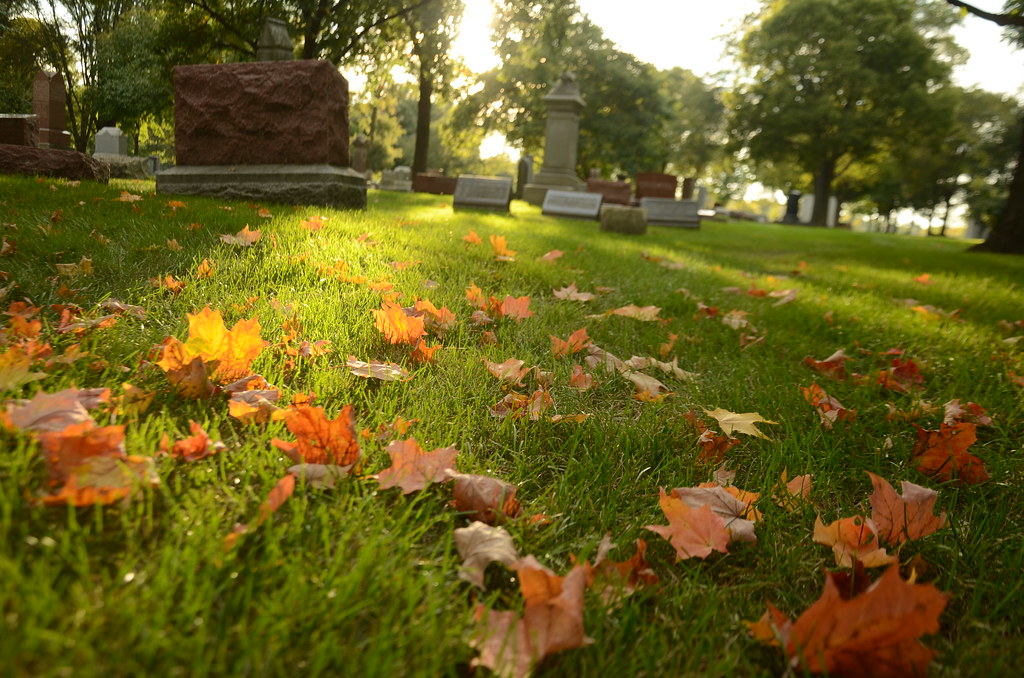 Naperville Cemetery 005