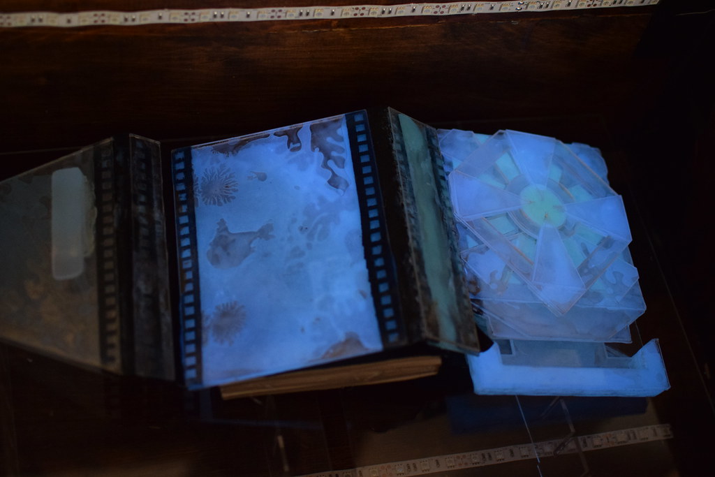 Wooden Book_2172